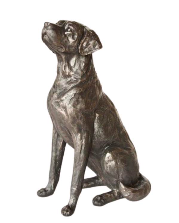 Large sitting bronze resin Labrador